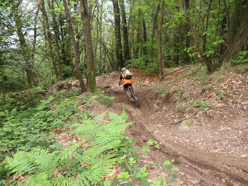 Mountainbiker auf einem Waldtrail im Parco delle Cinque Vette
