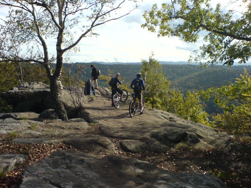 Mountainbiker auf dem Felsplateau des Drachenfels im Pfälzerwald