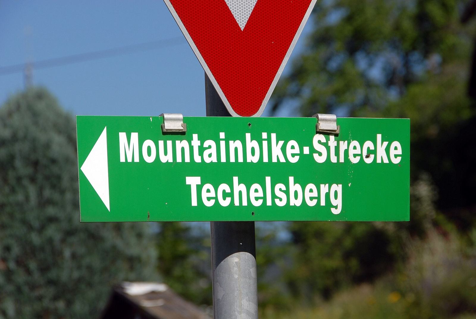 Grüner Wegweiser zu einer Mountainbike-Strecke in Kärnten